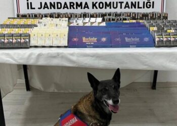 Kayseri’de 500 paket kaçak sigara ele geçirildi