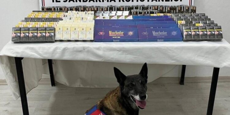 Kayseri’de 500 paket kaçak sigara ele geçirildi