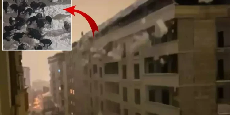 Kentte çatı çığı alarmı: Elektrikler kesildi, panik yaşandı