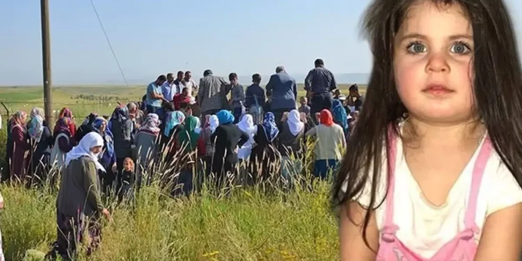 Yeni soruşturma: Leyla Aydemir’in 4 akrabası gözaltında