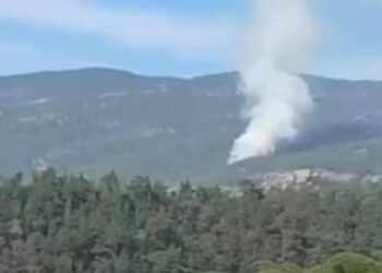 Muğla’da orman yangını korkuttu