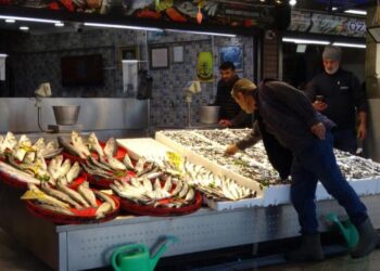 Palamut sezonu başlamadan bitti!