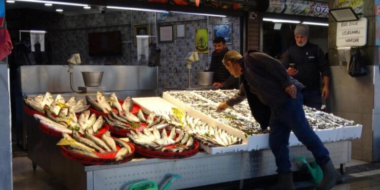 Palamut sezonu başlamadan bitti!