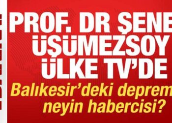 Prof. Dr. Şener Üşümezsoy: Sındırgı’da iki fay kırıldı, sıcak su vanası açıldı