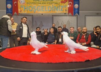 Sakarya’da “6. Tepeli Kostüm Güvercinleri Festivali” düzenlendi