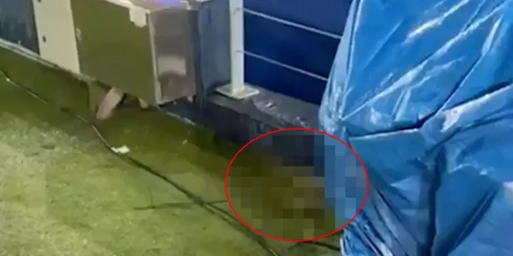 Maç Öncesi Taraftarın Tepkisini Çeken Görüntü