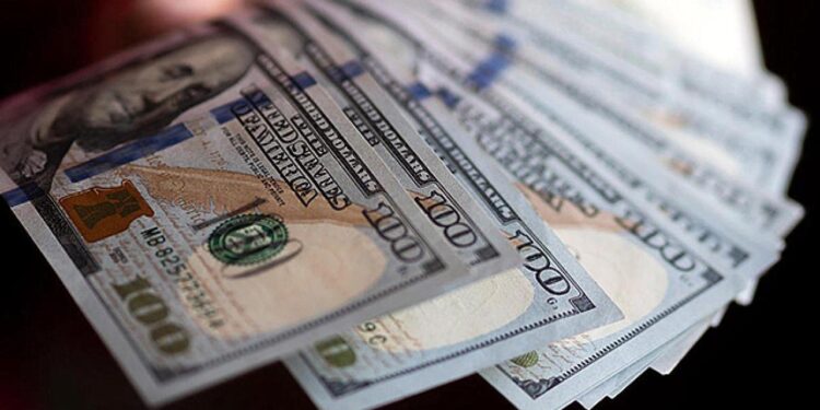 Serbest piyasada döviz açılış fiyatları