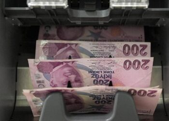 Sermaye piyasalarında yatırımcı tabanı finansal ürün çeşitliliğiyle genişleyecek