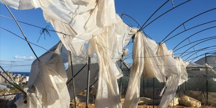 Tarım sigortaları kapsamında ekimde üreticilere 11,6 milyar lira hasar tazminatı ödendi