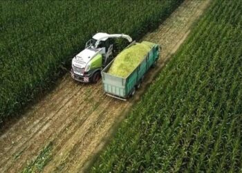 Tarıma yönelik hazine destekli finansmana ilişkin limitler düzenlendi