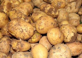 Ticaret Bakanlığından patates fiyatlarına ilişkin açıklama