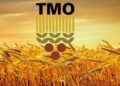 TMO’dan 3,5 milyon ton buğday ve 1,5 milyon ton mısır alımı!