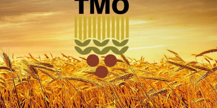 TMO’dan 3,5 milyon ton buğday ve 1,5 milyon ton mısır alımı!