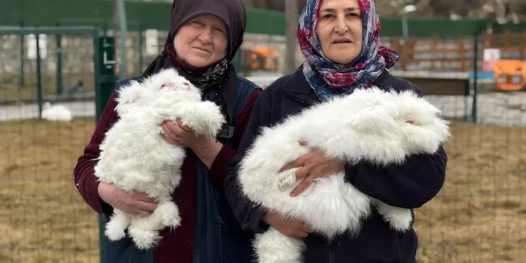 Nesli 3 Asır Önce Tükenen Tür Anavatanında Canlanıyor