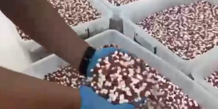 Uyuşturucu imalathanesine operasyonda 1,8 milyon sentetik ecza hap ele geçirildi