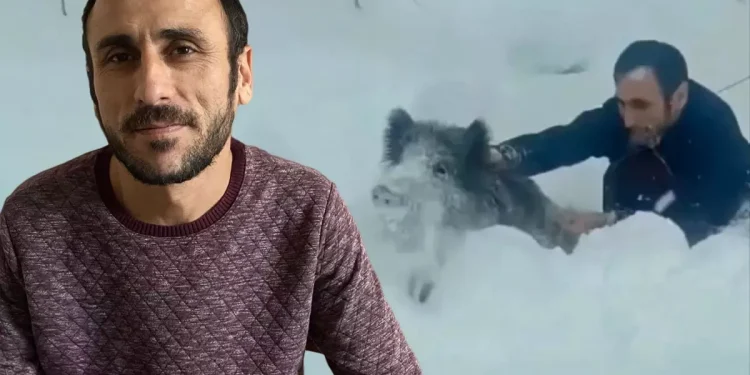 Yaban Domuzunu Elle Yakalamak: Deneyen Pişman Oldu