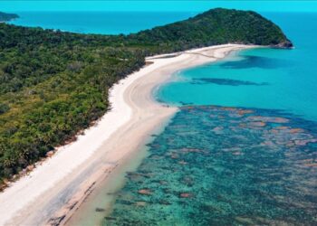 Yaşlı kadın ıssız adada unutuldu! Film gibi olay trajik sonla bitti