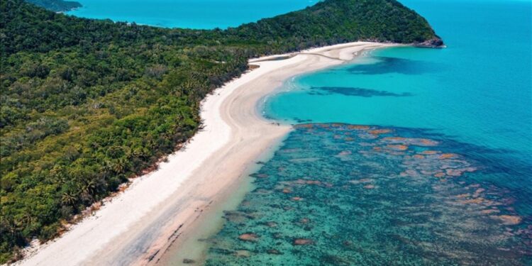 Yaşlı kadın ıssız adada unutuldu! Film gibi olay trajik sonla bitti