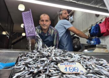 Yaz sıcakları palamudu vurdu, yerini hamsi aldı