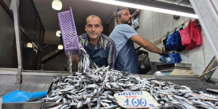 Yaz sıcakları palamudu vurdu, yerini hamsi aldı
