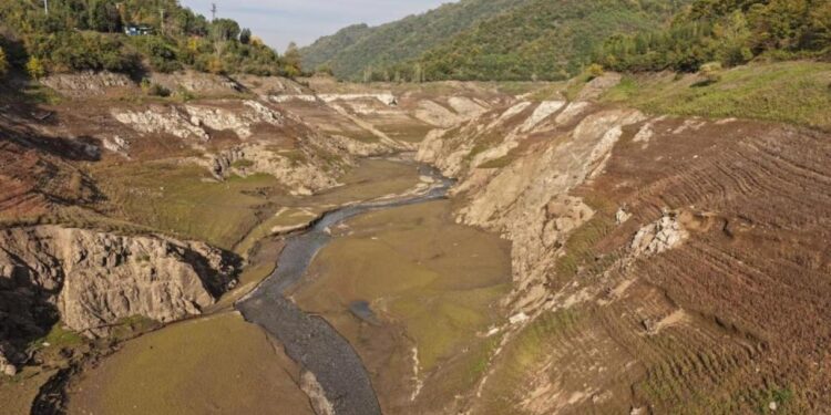 Yuvacık Barajı’nda korkutan görüntü!