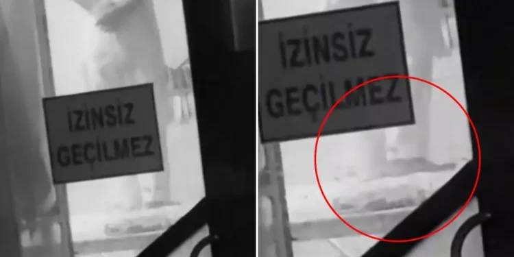 Skandal Görüntü Ramazan’ın İlk Günü Ortaya Çıktı