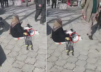 “Vergi Mükellefidir” Yazısı Görenleri Şaşırttı