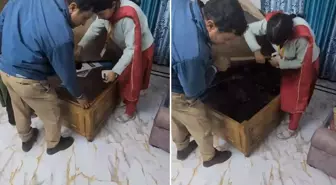 Kapağı açan yetkililer divanın altındaki dramı gördü