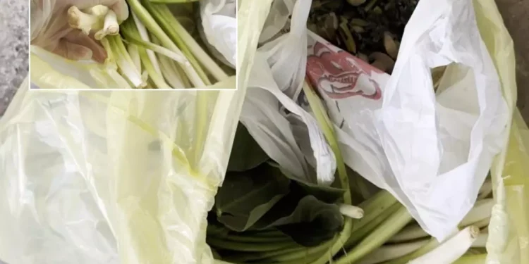 Pazardan Alınan Ürün Doktoru Hastanelik Etti