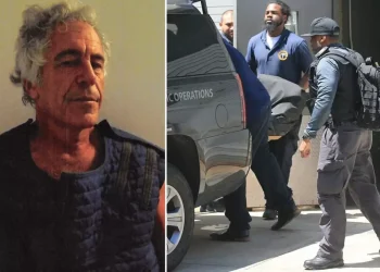 Gazeteciler, Sahte Cesetle Yıllar Boyu Kandırılmış