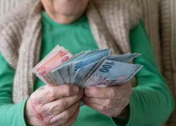 Yardım kalemleri netleşti: Vatandaşlık maaşı detayları