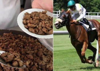 Kavurma Yapılan Atın Sahibi Cezalandırıldı