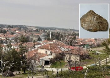 Köyünde yürürken bulduğu şey herkesi şaşırttı