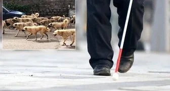Belediye yetkilisinden görme engelliye sert cevap