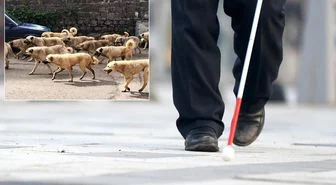 Belediye yetkilisinden görme engelliye sert cevap