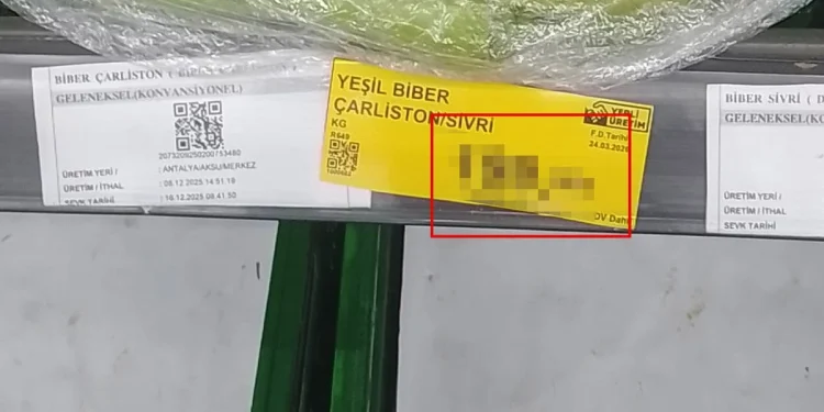 BİM’deki Biberin Fiyatını Görenler Gözlerine İnanamadı