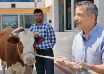 Belediye başkanının özel kalemi vatandaşı dolandırdı