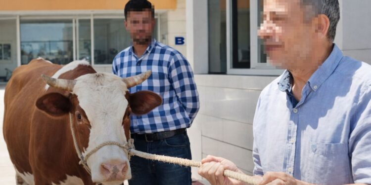 Belediye başkanının özel kalemi vatandaşı dolandırdı
