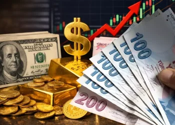 Dolar, TL Karşısında Tarihi Zirveye Ulaşarak Rekor Kırdı