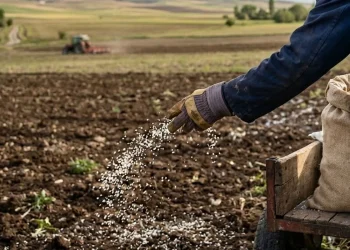 Gübre Tedarikinde Yeni Önlemler Devreye Girdi