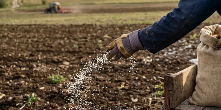 Gübre Tedarikinde Yeni Önlemler Devreye Girdi