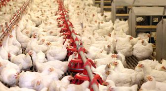 Bir Dönemin İhracat Şampiyonu 40 Yıllık Marka Satışta