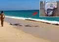 Sahile vuran iki dev “kıyamet balığı” şaşırttı