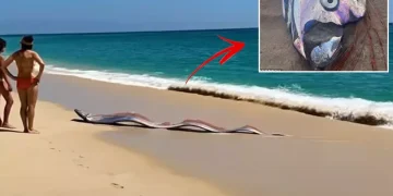 Sahile vuran iki dev “kıyamet balığı” şaşırttı