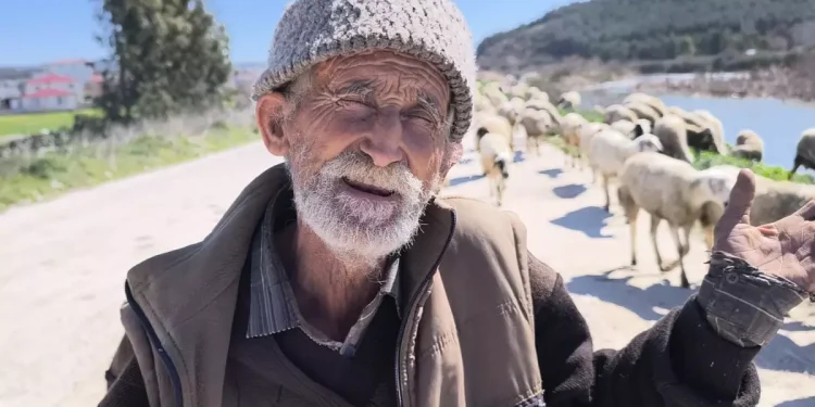 Ameliyatlı Haliyle Besicilik Yapan Ömer Amca’dan Mesaj