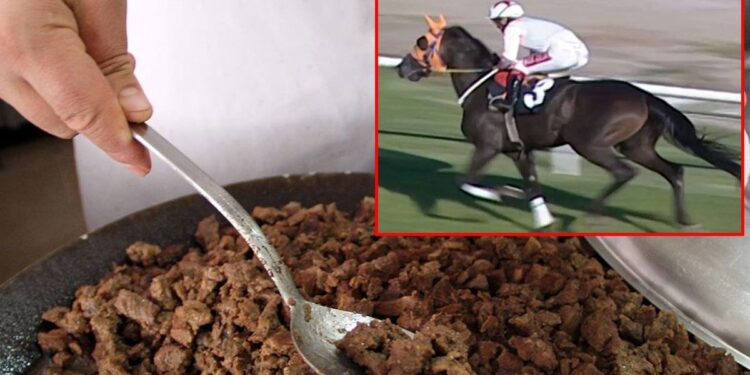 Yarış Atının Kavurma Yapıldığı Görüntüler Tepki Çekti