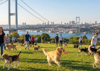 Zengin semtte iş yapan kişi 150 bin TL kazanıyor