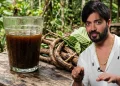 Ayahuasca çayı nedir? Yasak mı, içinde ne var