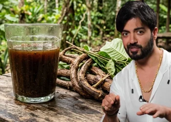 Ayahuasca çayı nedir? Yasak mı, içinde ne var