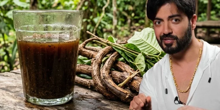 Ayahuasca çayı nedir? Yasak mı, içinde ne var